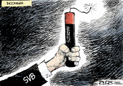 SILICONE VALLEY BANK ABOUT TO GO BOOM by Rivers