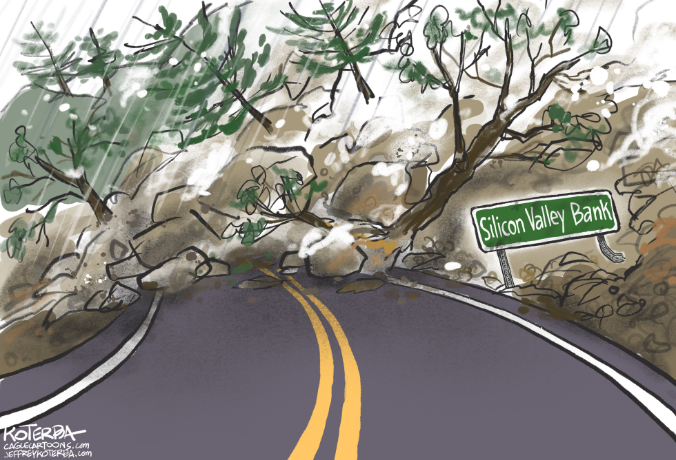 The Collapse of Silicon Valley Bank