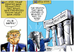 SILICON VALLEY CRASH by Dave Whamond