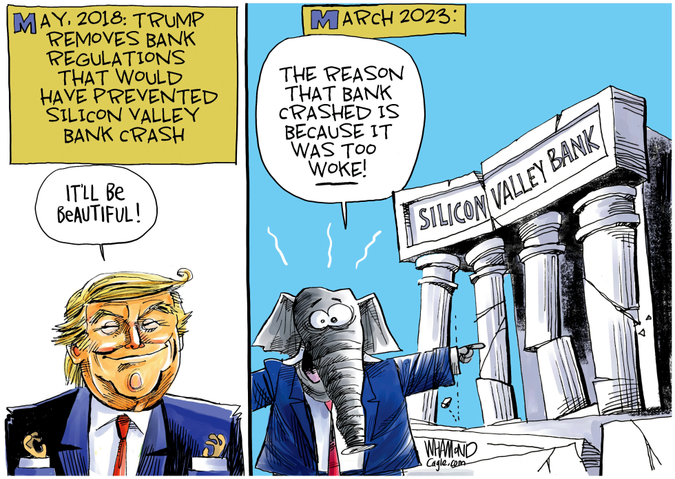 Silicon Valley Crash
