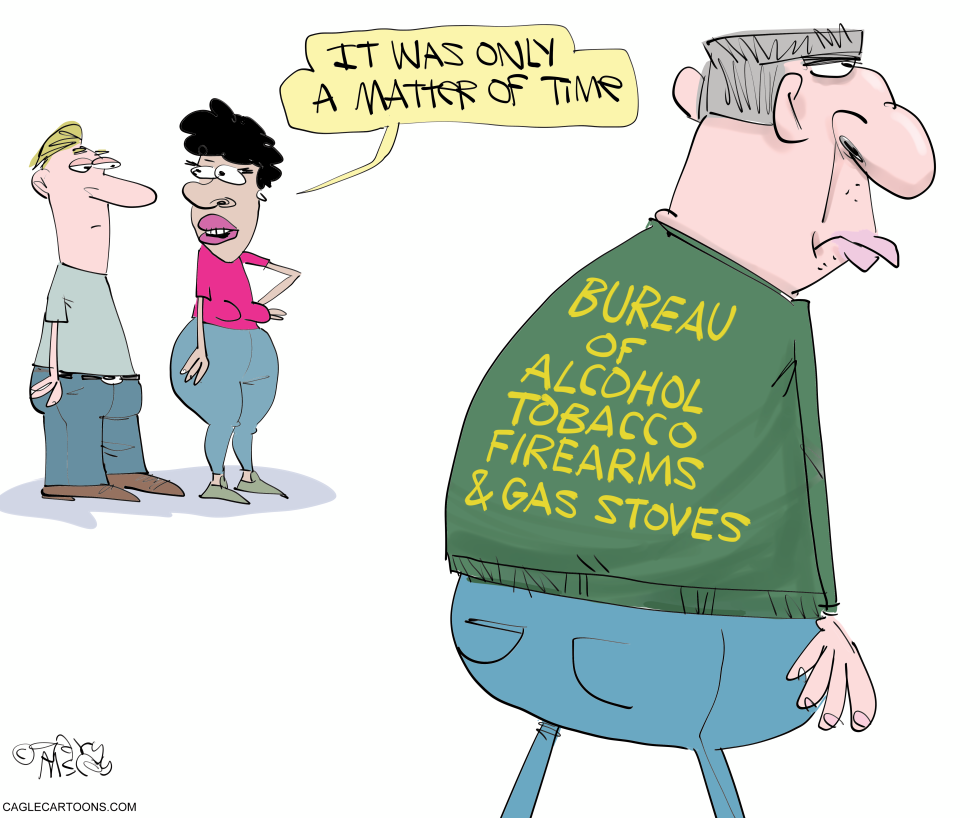 Bureau of Gas Stoves