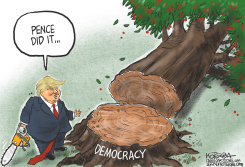 WHO CUT DOWN THE CHERRY TREE by Jeff Koterba
