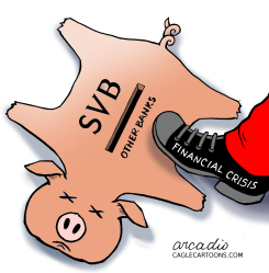 FINANCIAL CRISIS by Arcadio Esquivel