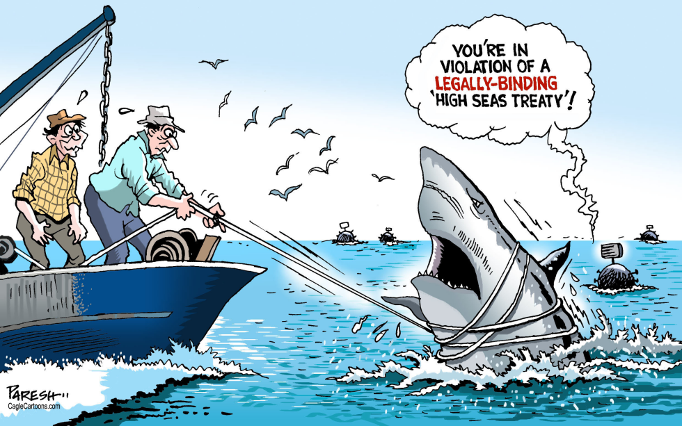UN high seas treaty