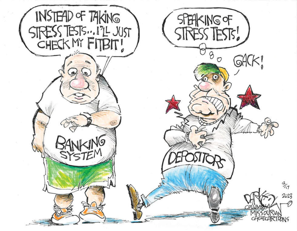 Banking System Stress Tests