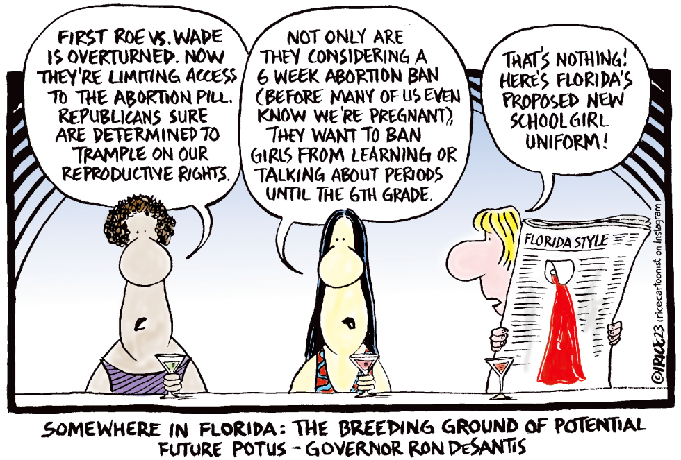 Republican Insanities