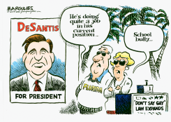 DESANTIS FLORIDA RECORD by Jimmy Margulies