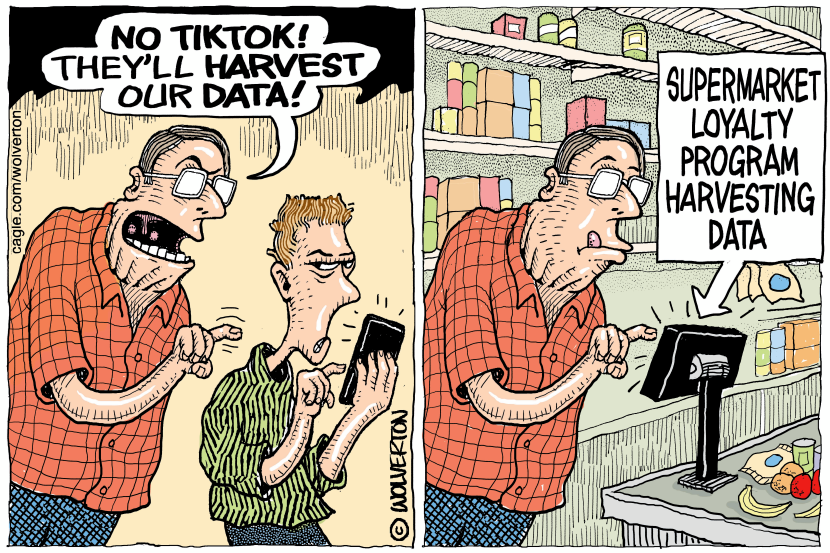 TikTok Data Harvesting