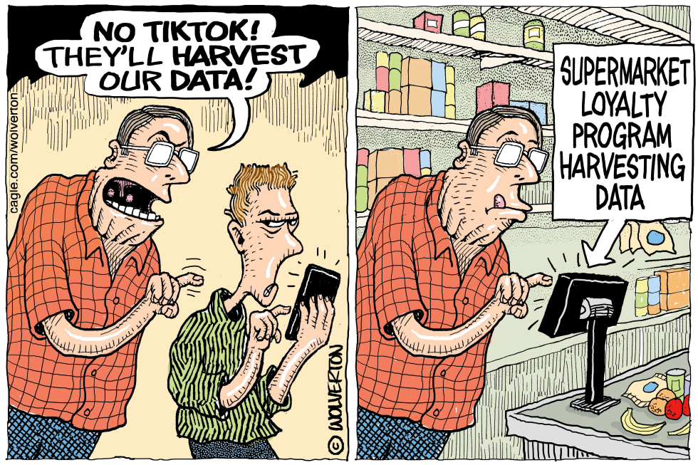 TikTok Data Harvesting