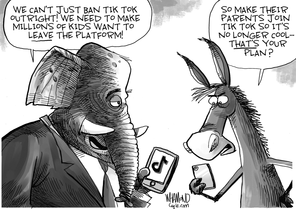 TikTok Ban