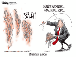 SPAGHETTI THROW by Bill Day