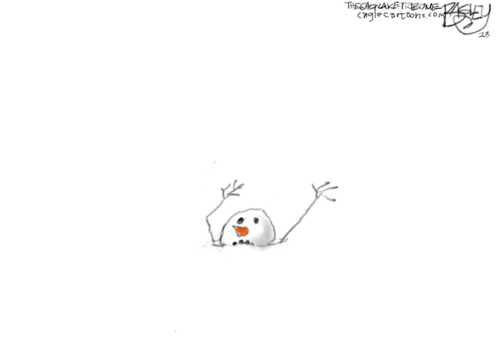 Snow Daze