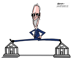 BIDEN AND THE BANKS by Rayma Suprani