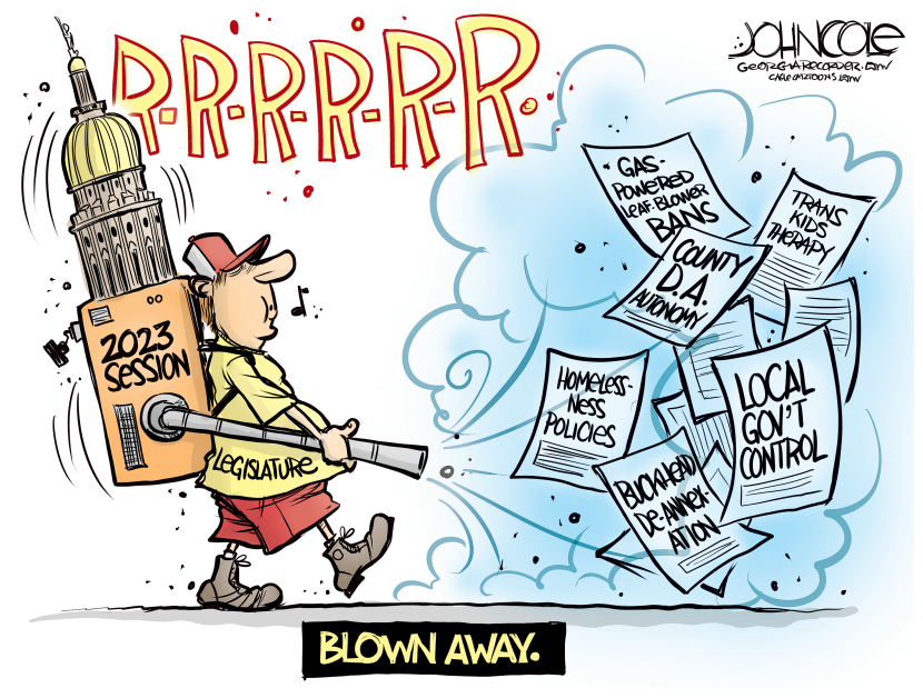 GEORGIA Legislative leaf blower