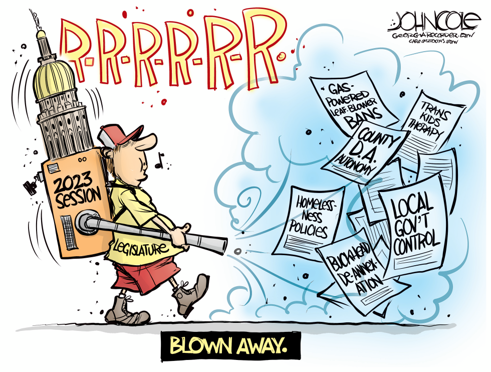 GEORGIA Legislative leaf blower