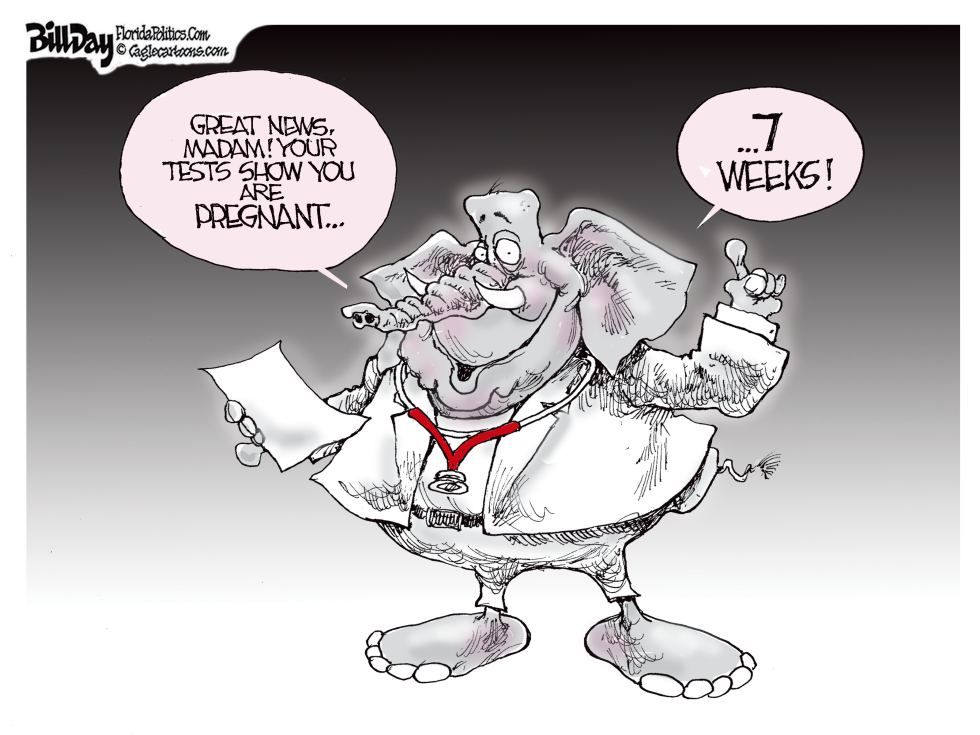 6 Week Abortion Ban