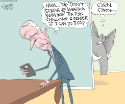 BIDEN TIKTOK CHALLENGE by Gary McCoy