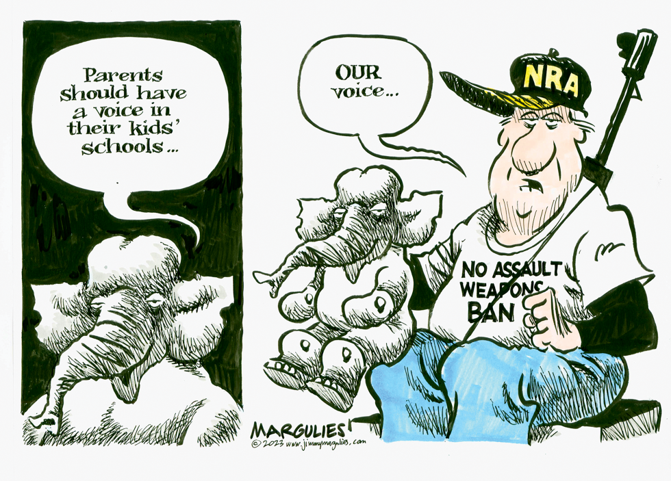 School shootings and assault weapons