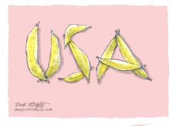 USA BANANA REPUBLIC by Dick Wright