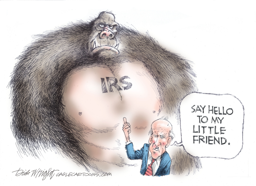 IRS Weaponized