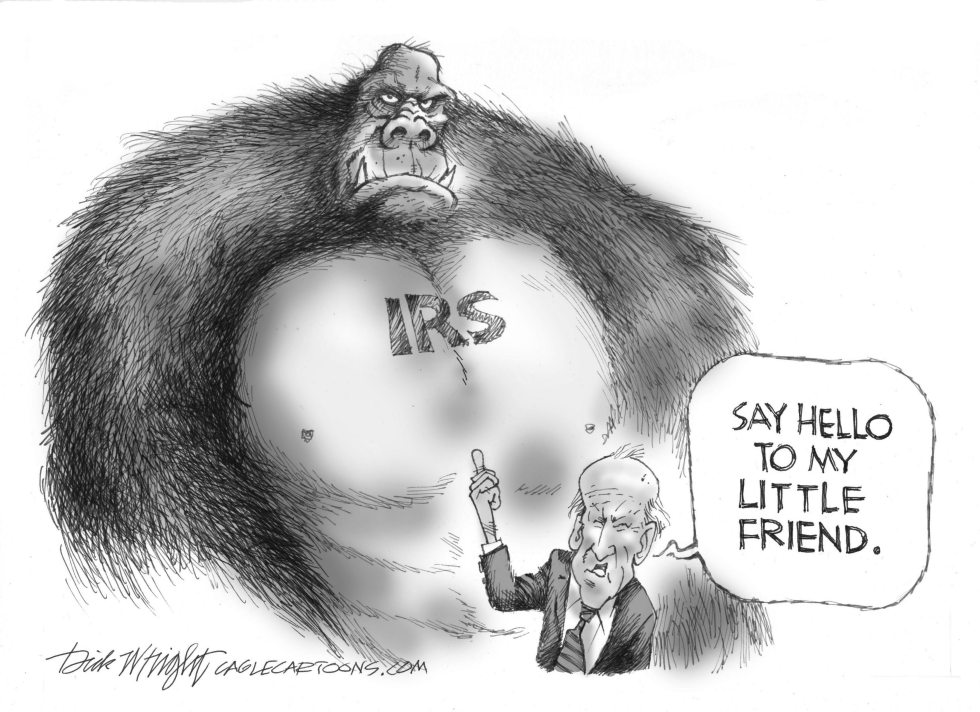 Waeponized IRS