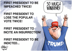 TRUMP INDICTED by Dave Whamond