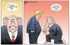 NO ONE IS ABOVE THE LAW by Bruce Plante