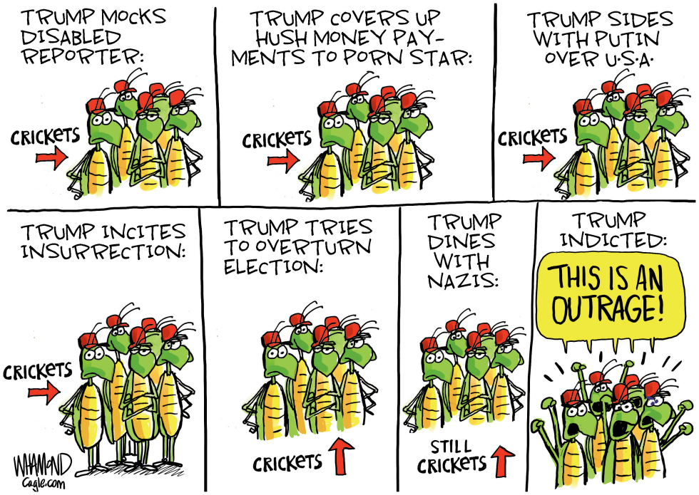 Nothing but Crickets