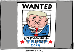 TRUMP TRIAL by Schot