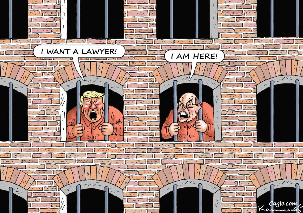 I Want A Lawyer