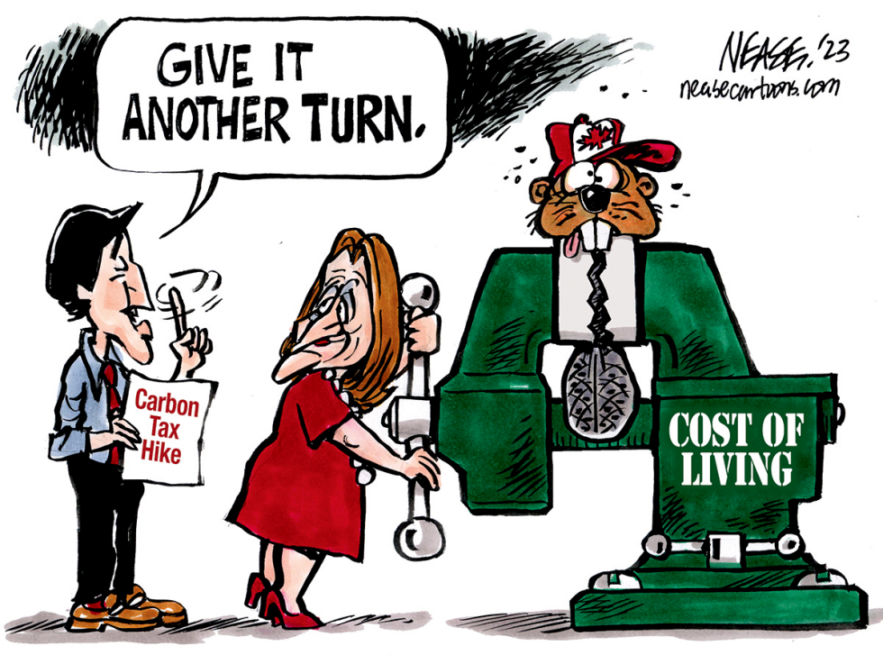 Cost Vise