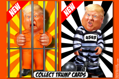 TRUMP NFT by Bart van Leeuwen