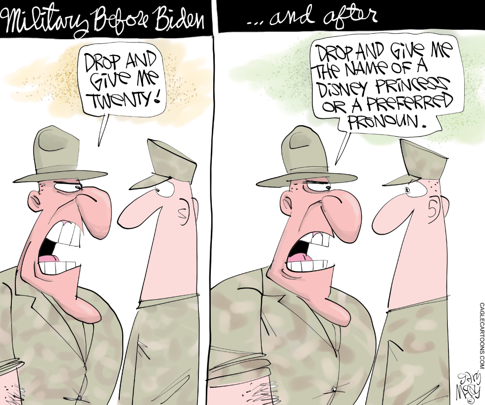 Bidens Military