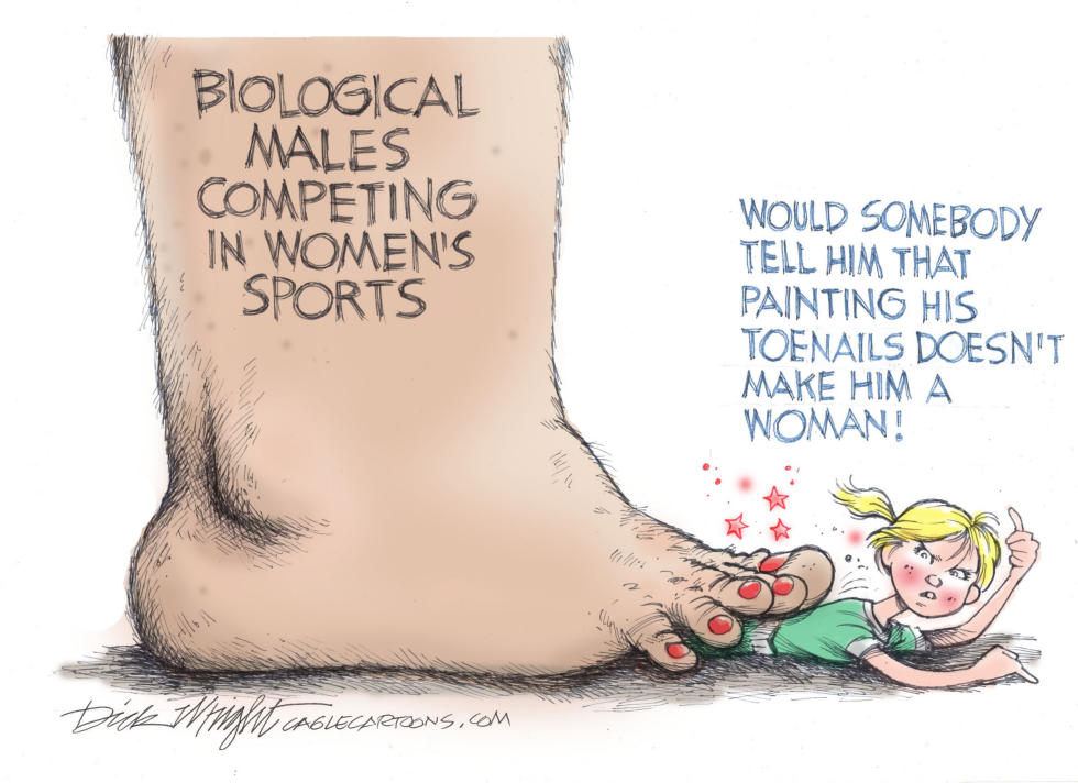 Men in Women's Sports