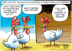 CHICKEN VACCINE by Dave Whamond