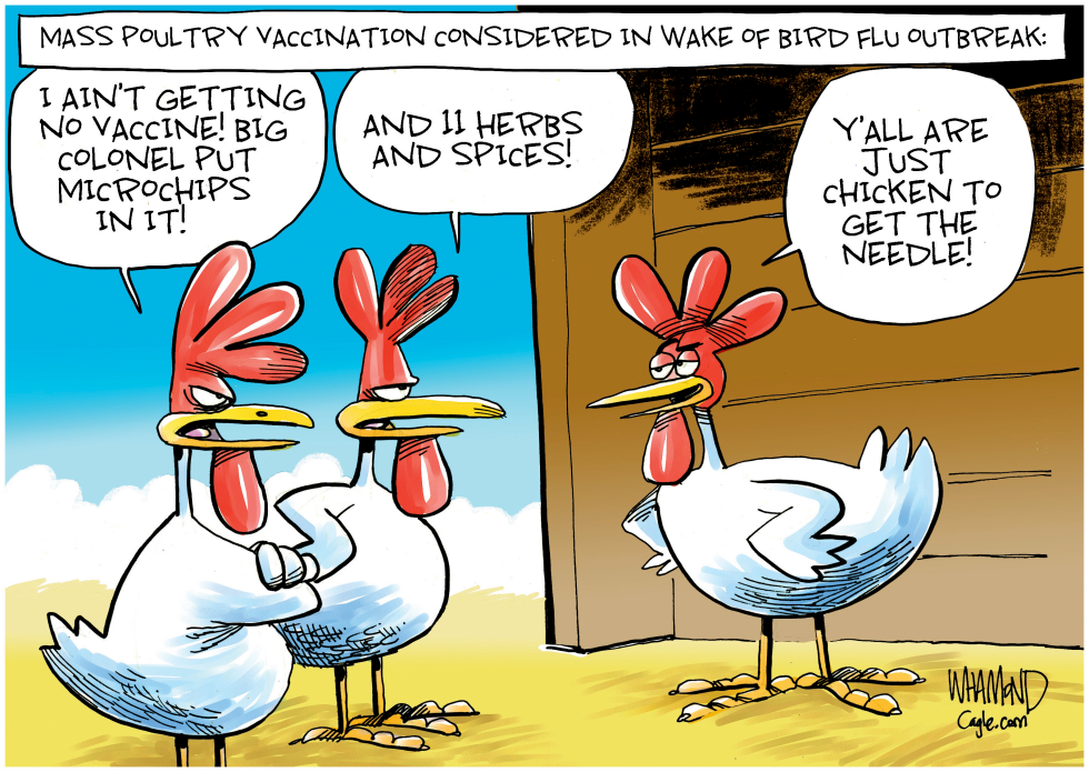 Chicken Vaccine