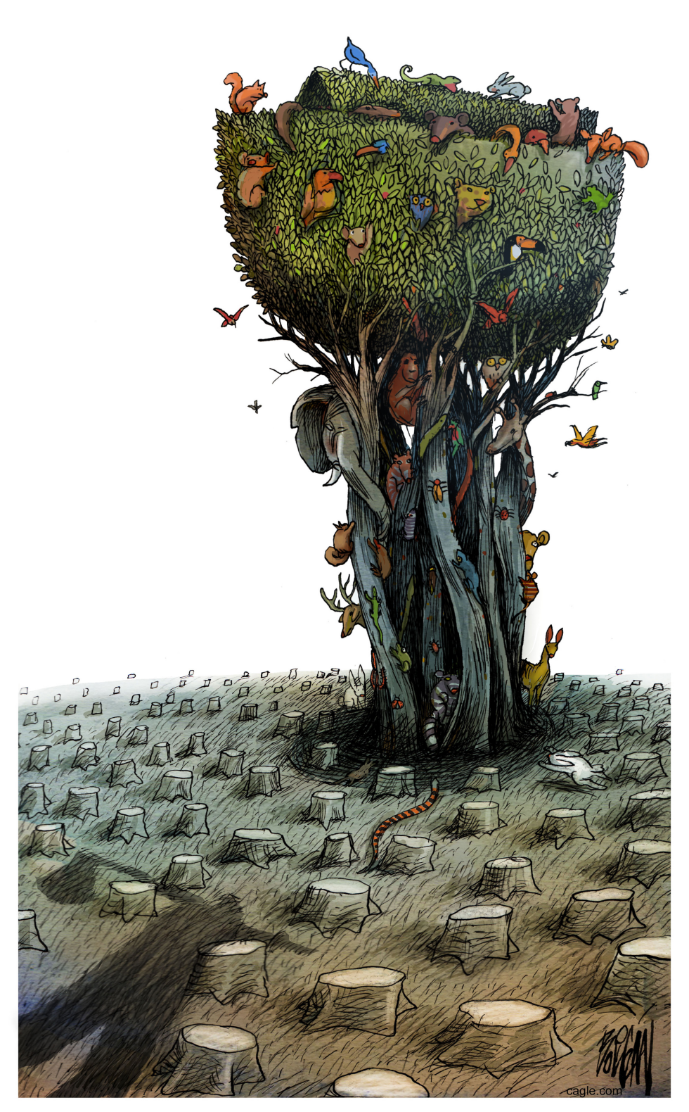BIODIVERSITY IN DANGER