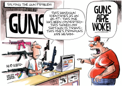 THE GUN PROBLEM SOLUTION by Dave Whamond