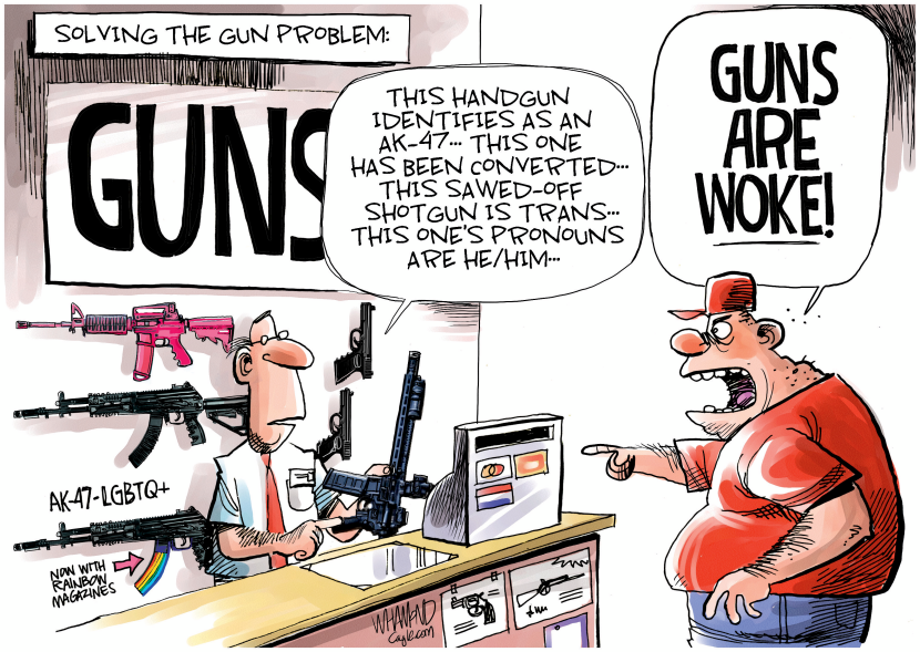 The Gun Problem Solution?