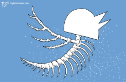 TWITTER BIRD by Bruce Plante