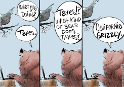 BEAR TAX by Frank Hansen