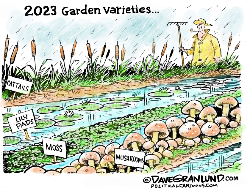 Garden Varieties 2023