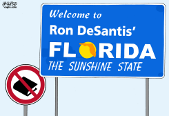 EDUCATION IN FLORIDA by Rainer Hachfeld