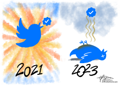 TWITTER DEMISE by Guy Parsons