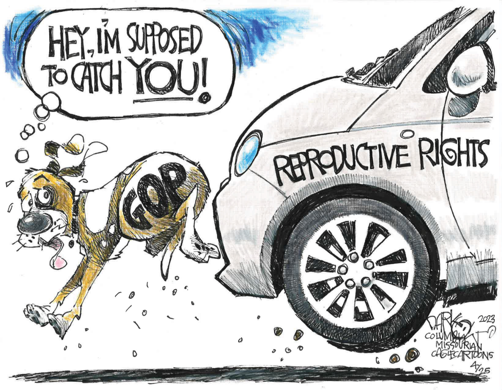 Car Catching the Dog
