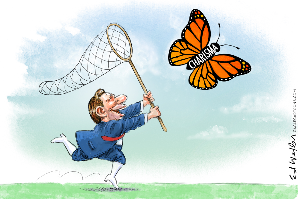 Desantis Chase Charisma Butterfly