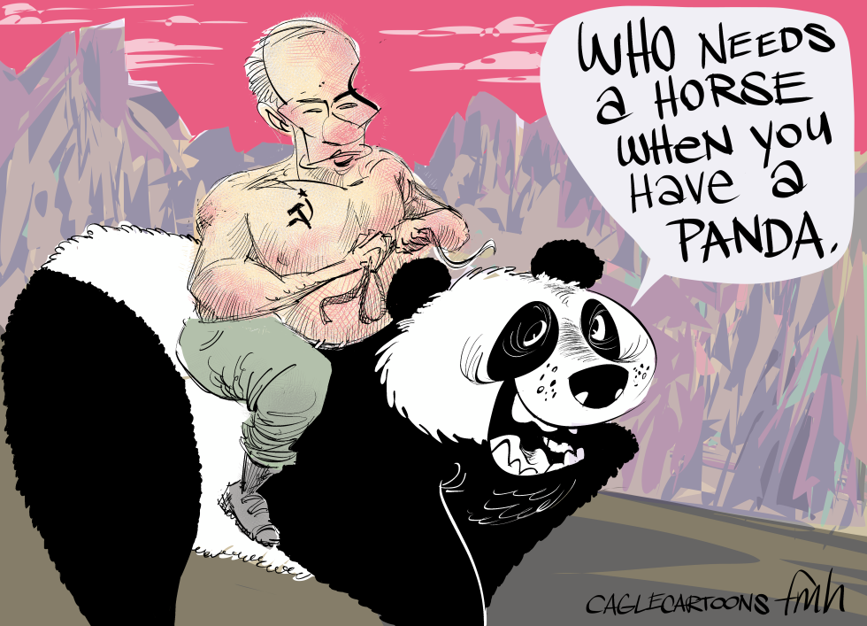putin and the panda