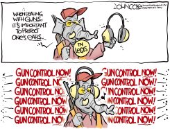 TENNESSEE GUN CONTROL NOISE REDUCTION by John Cole