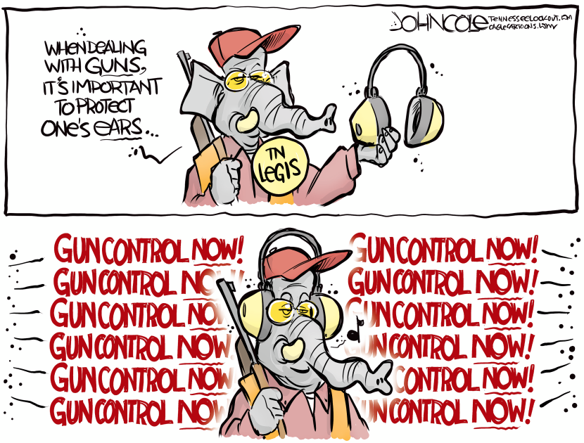 TENNESSEE Gun control noise reduction