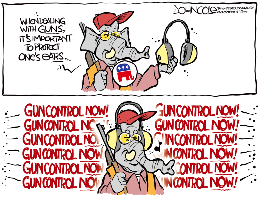 NATIONAL Gun noise reduction